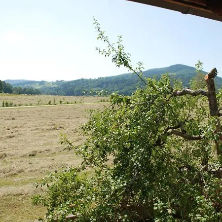 Mountainview Appartement Anger